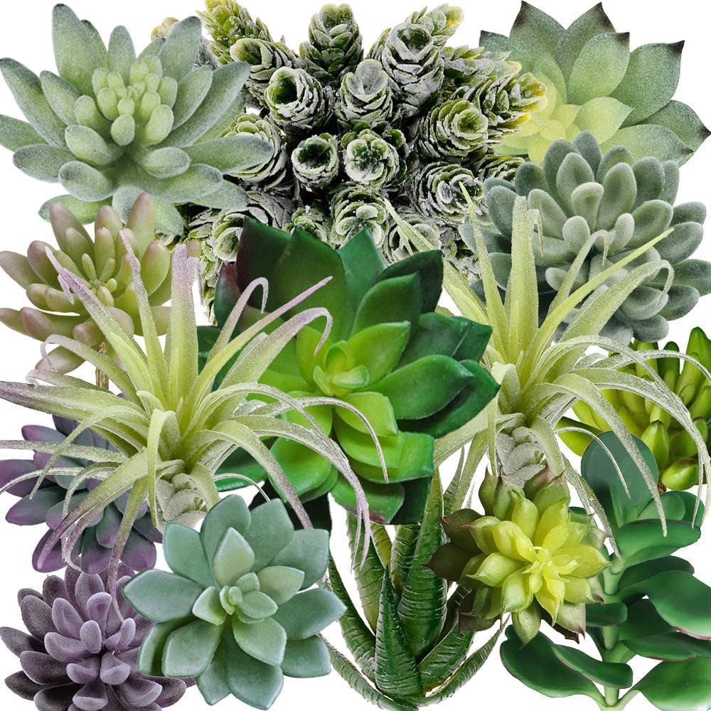 Echeveria Succulent - ชุดต้นไม้ประดิษฐ์ 15 ชิ้น รวมพืชอวบน้ำหลากหลายชนิด ไม่มีกระถาง ต้นกระบองเพชรปลอม
