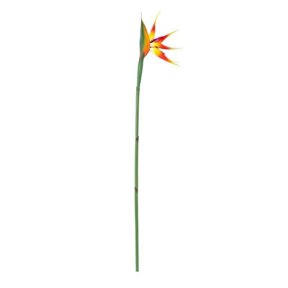 ดอกไม้ประดิษฐ์สเตรลิเซียก้านยา - Bird Paradise Strelitzia บทวิจารณ์และราคา