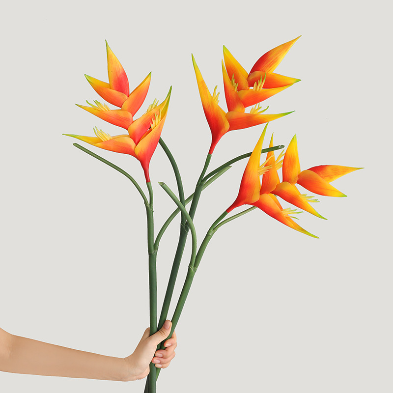 ดอกสเตรลิซเซีย เรจินา 85 ซม. จ - Bird Paradise Strelitzia บทวิจารณ์และราคา
