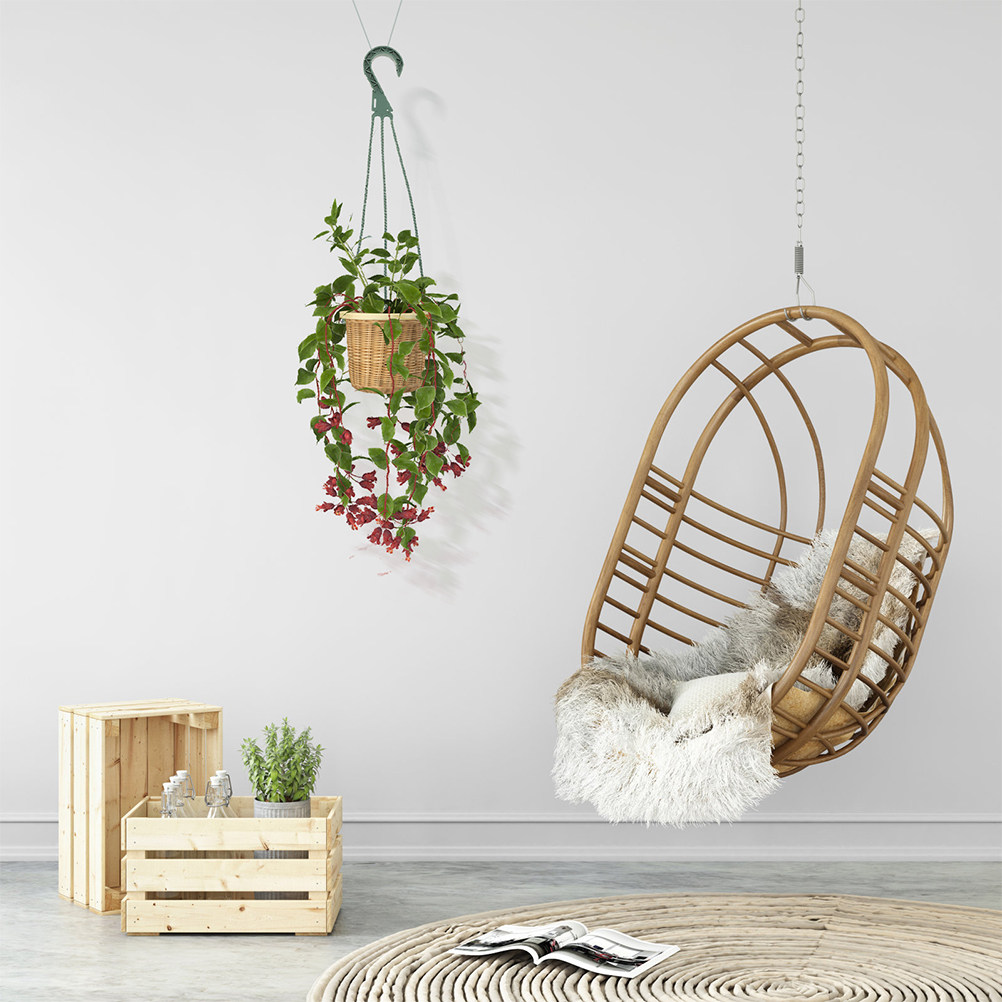ชุดตะขอแขวนต้นไม้แบบมินิมอลทัน - Spider Plant Hanging บทวิจารณ์และราคา