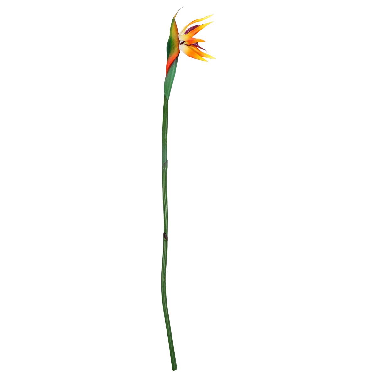 ดอกสเตรลิเซียประดิษฐ์ สัมผัสเส - Bird Paradise Strelitzia บทวิจารณ์และราคา