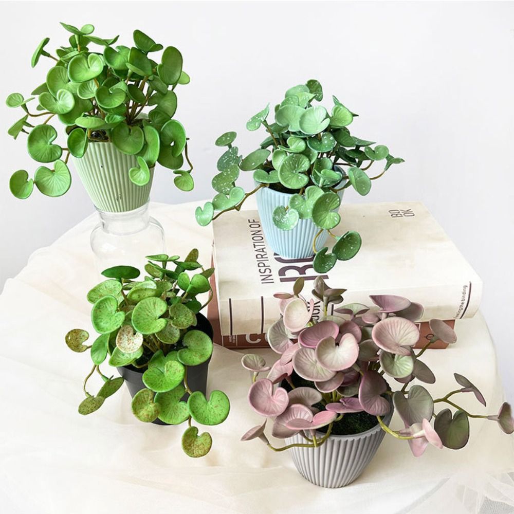 กาวนุ่มประดิษฐ์ EVA สีเขียว Su - Echeveria Succulent บทวิจารณ์และราคา