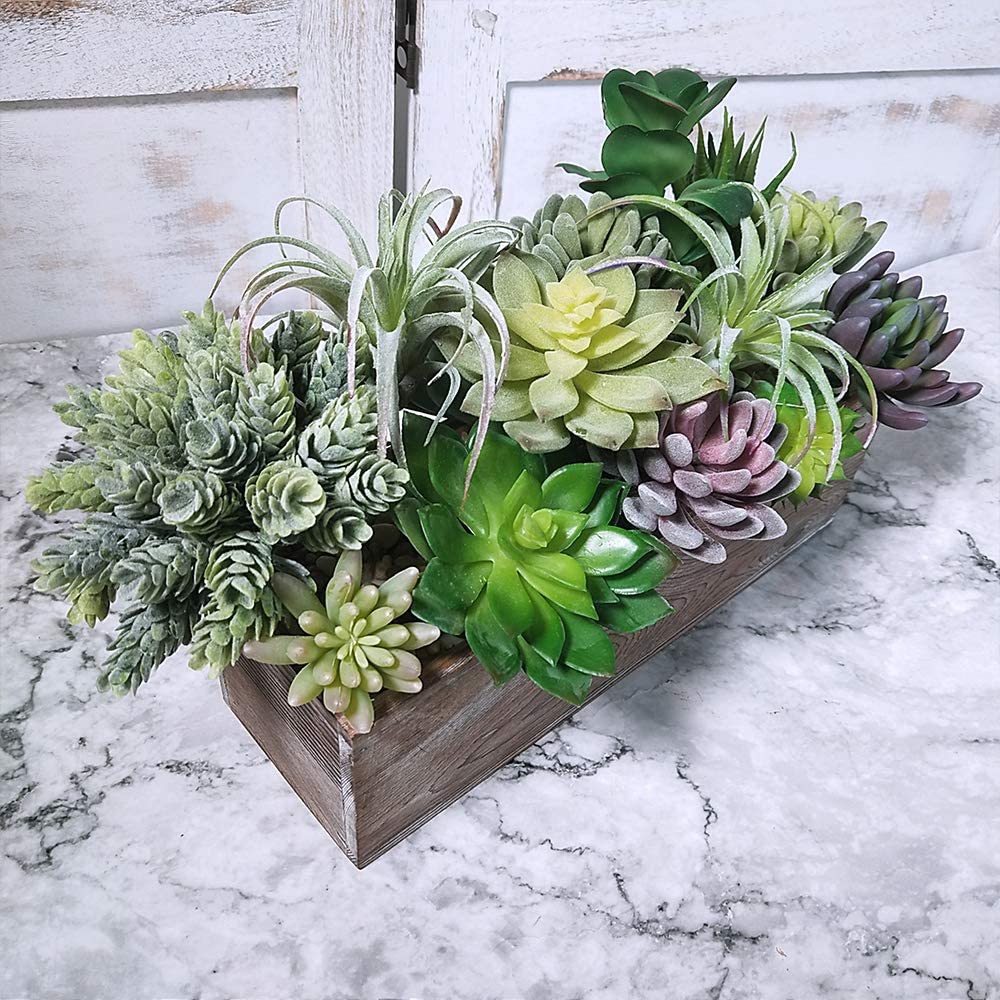 ชุดต้นไม้ประดิษฐ์ 15 ชิ้น รวมพ - Echeveria Succulent บทวิจารณ์และราคา
