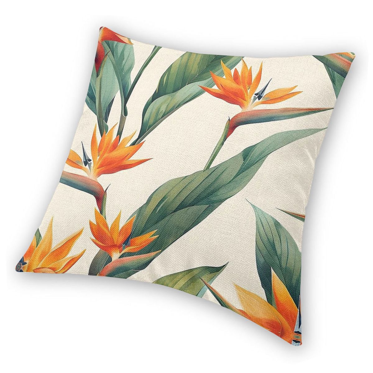 Bird Of Paradise Strelitzia ปล - Bird Paradise Strelitzia บทวิจารณ์และราคา