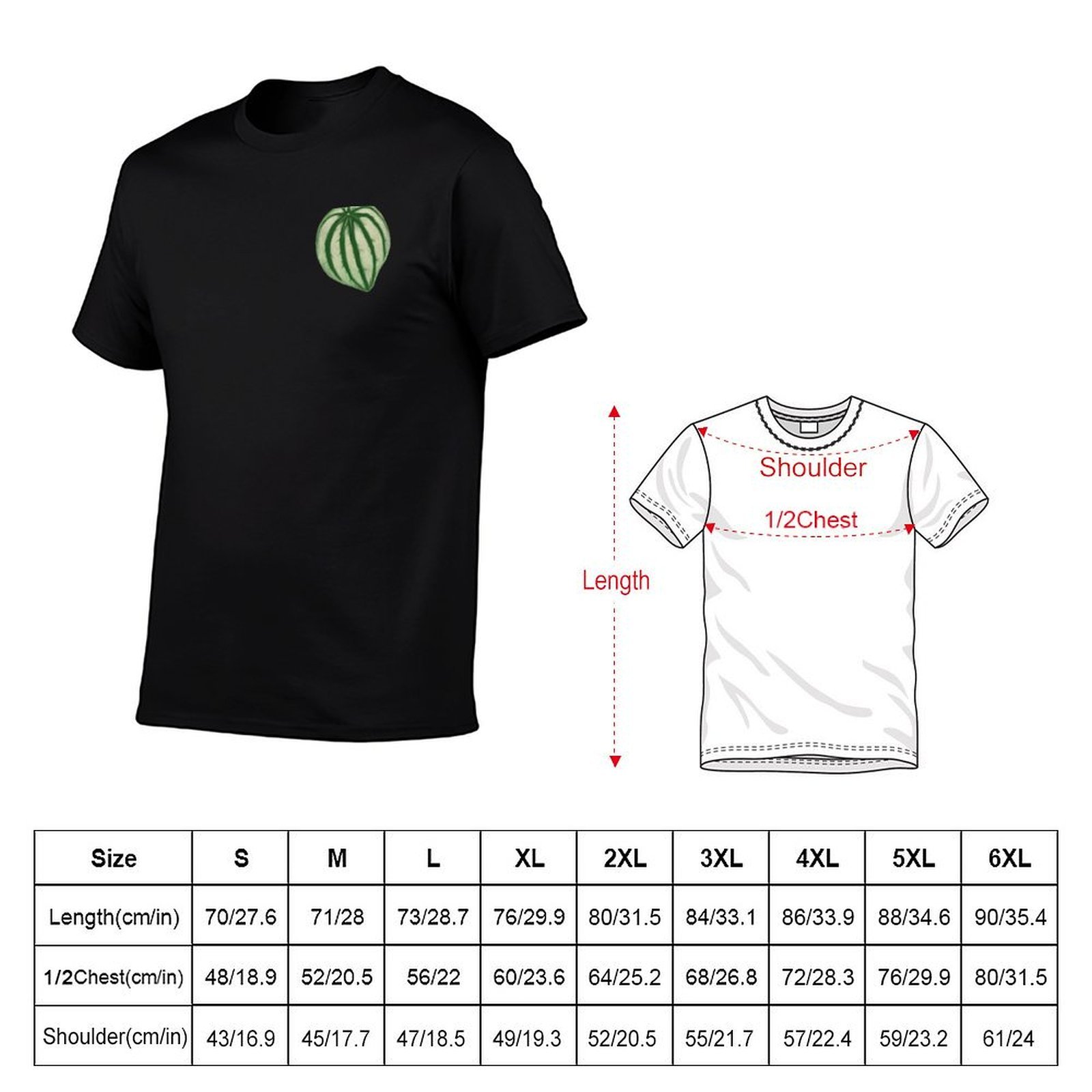 เสื้อยืดวอเตอร์เมลอน เปเปโรเมี - Peperomia Watermelon บทวิจารณ์และราคา
