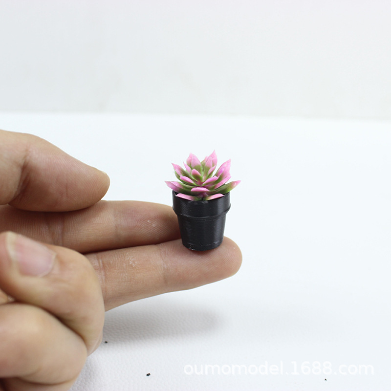 มินิจําลองพืชกระบองเพชรดอกไม้ฉ - Echeveria Succulent บทวิจารณ์และราคา