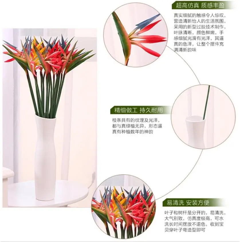 สรวงสวรรค์ของนกปลอมสรวงสวรรค์ข - Bird Paradise Strelitzia บทวิจารณ์และราคา